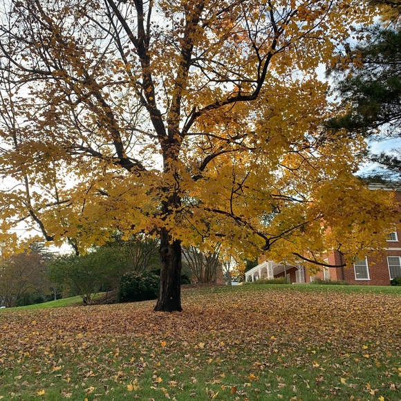 Meet your Posher, Isabelle - Picture 1 of 1